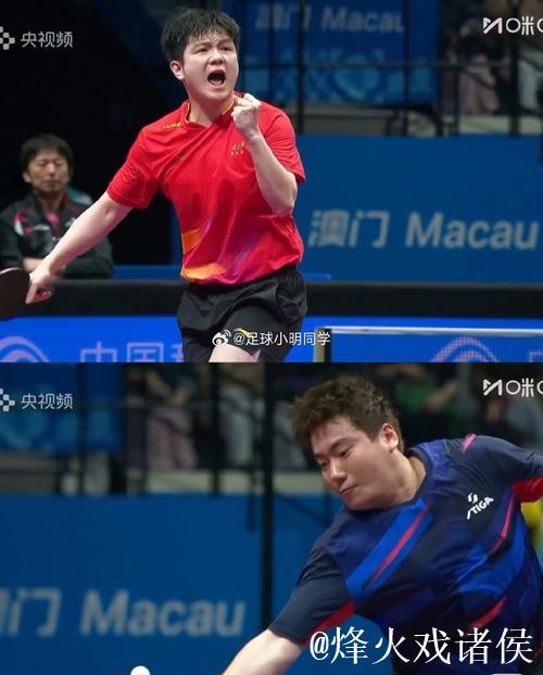 樊振东3-2力克梁靖崑,上海击败河北挺进男团半决赛 樊振东3-2力克梁靖崑,上海击败河北挺进男团半决赛